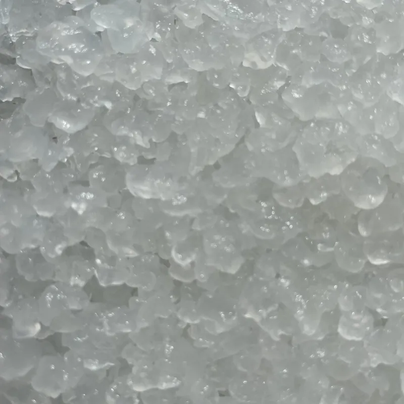 Doorschijnende waterkefir kristallen